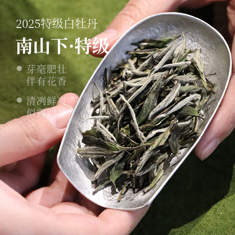 深山行南山下·2025年特级白牡丹福鼎管阳高山白茶400克/盒茶叶