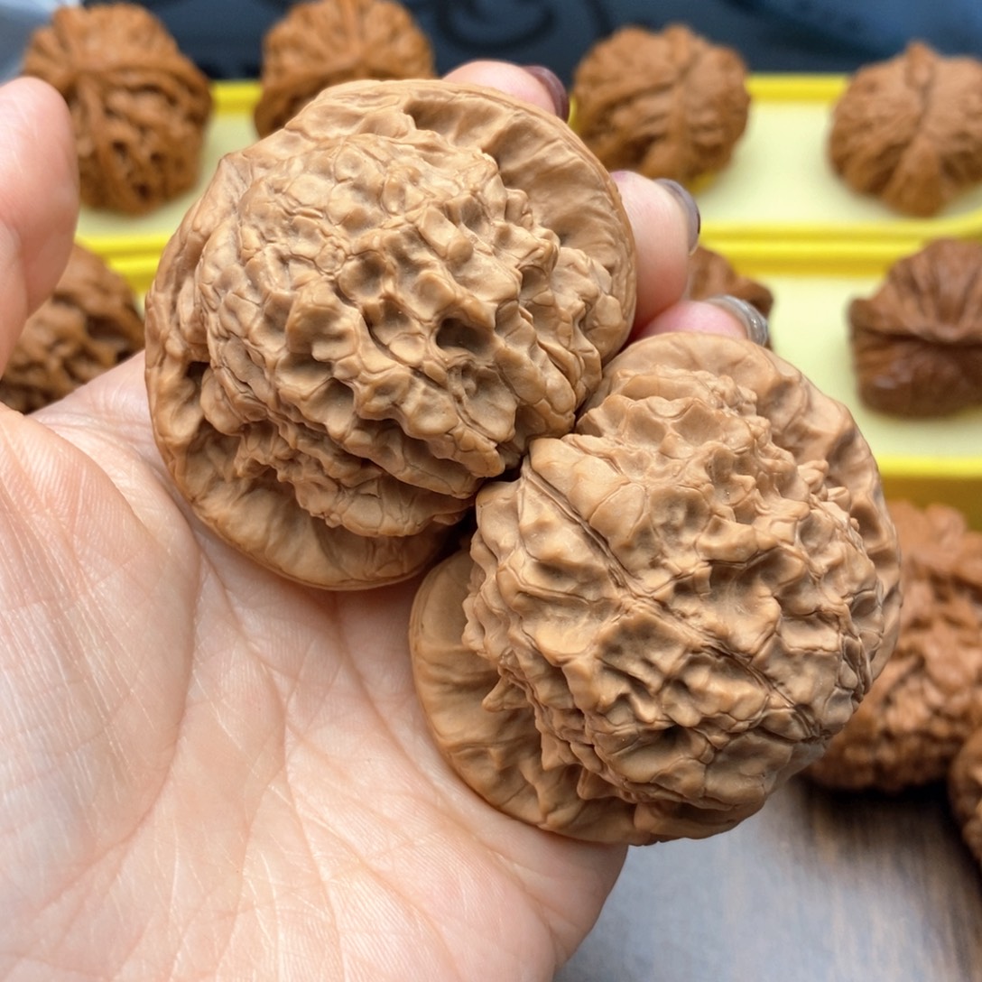 文玩核桃把件567号龙鼎