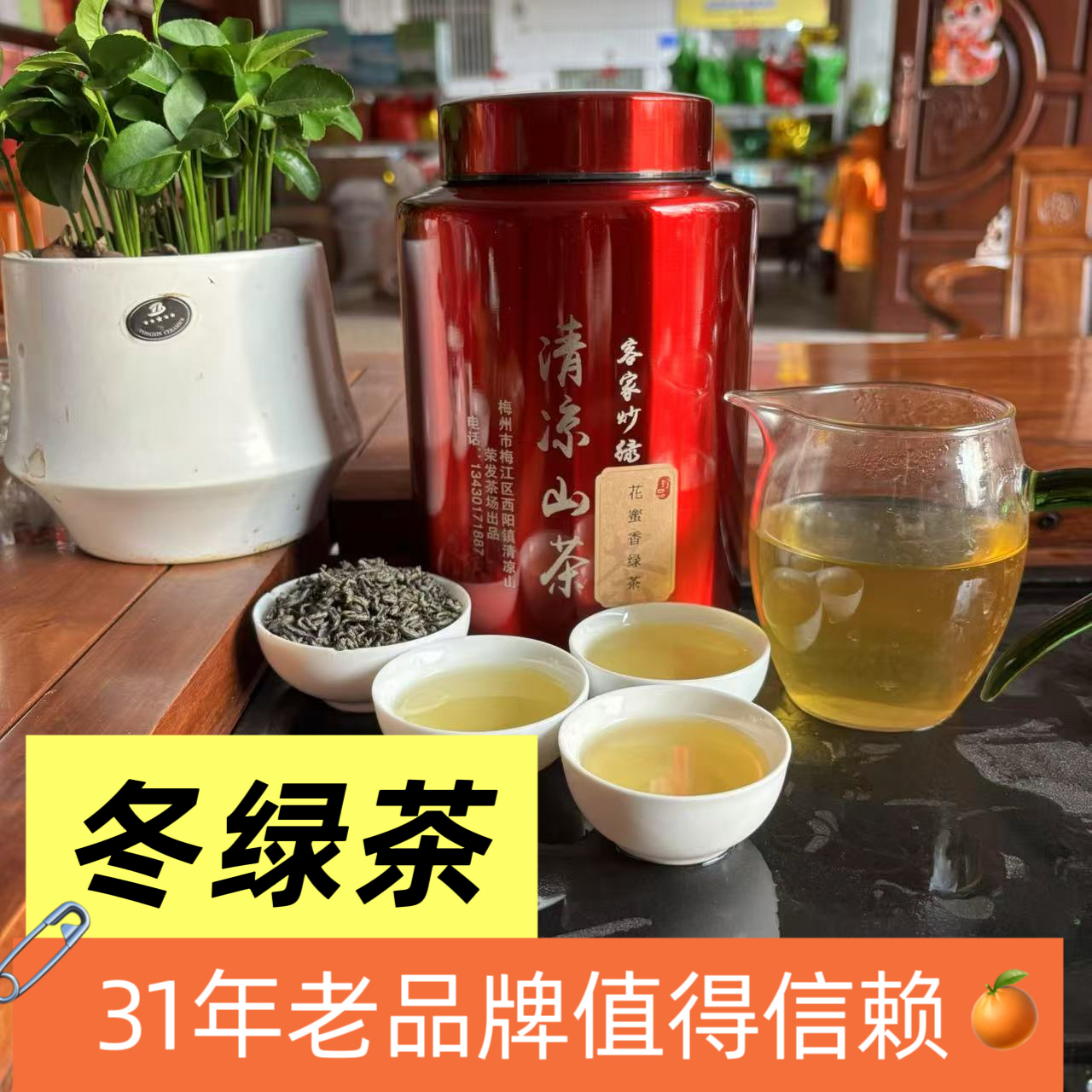 梓树凹客家炒绿清凉山绿茶传统工艺柴火炒制冬绿茶浓香醇厚甘甜