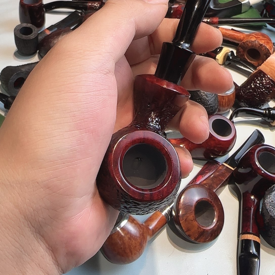 石楠木新人入门河豚