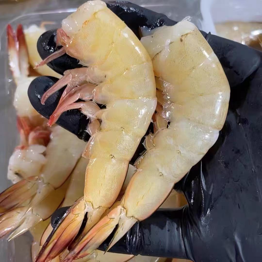 海捕野生明虾/白虾去头 纯虾尾 部分背上带膏 鲜货速冻锁鲜发3斤