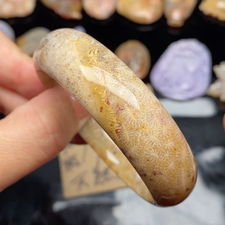 硅化珊瑚（珊瑚玉）手镯未镶嵌53,6