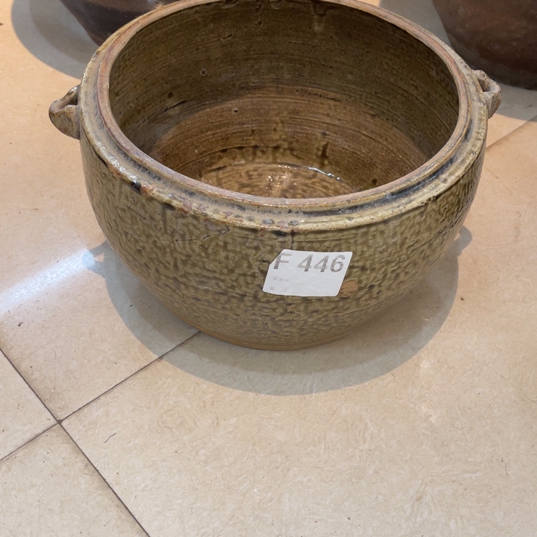 介***丘F446你好呀打榜加油