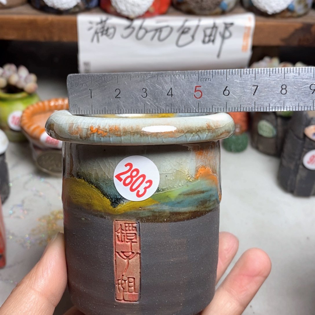 拍5送一个小礼物