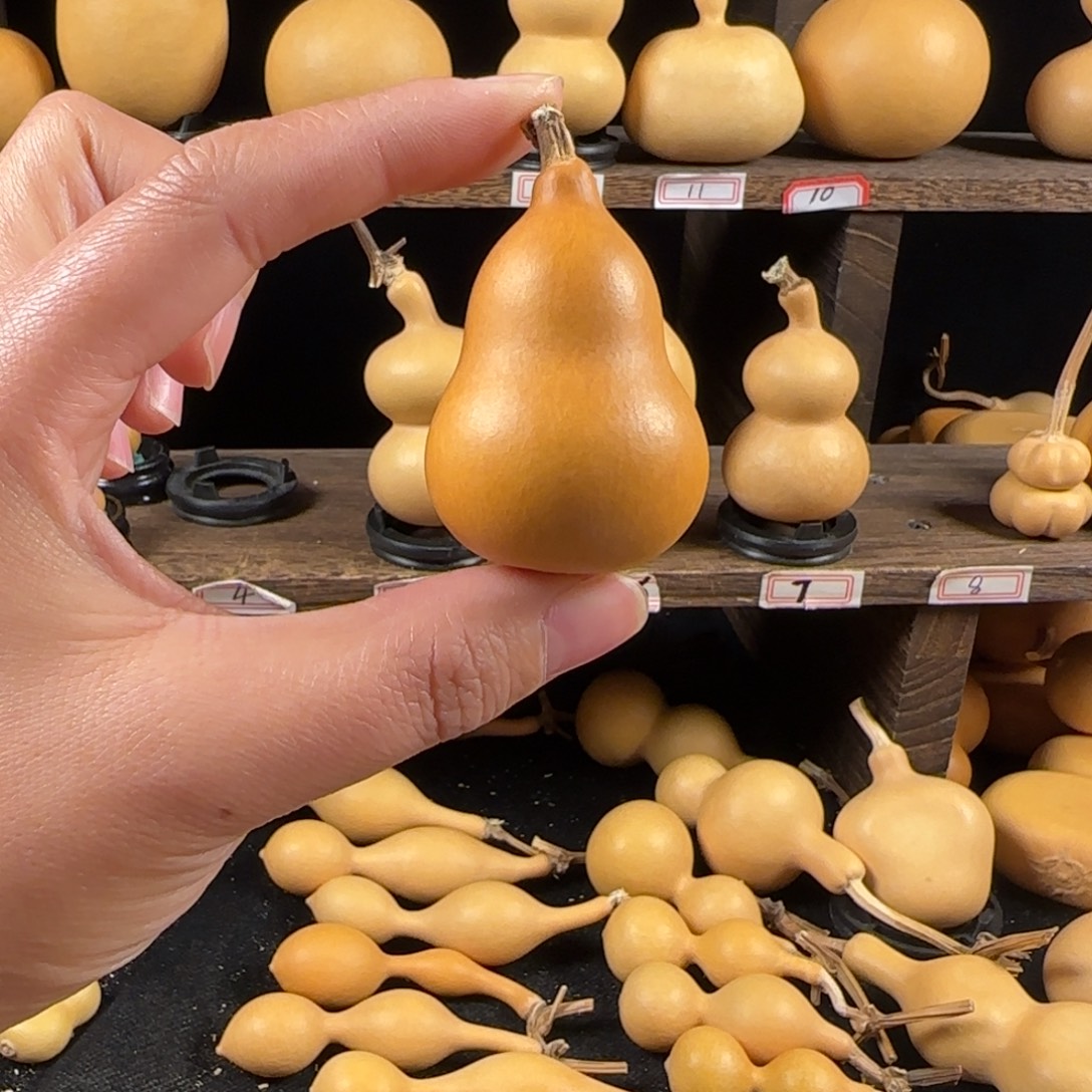 闾***地葫芦葫芦葫芦葫芦葫芦