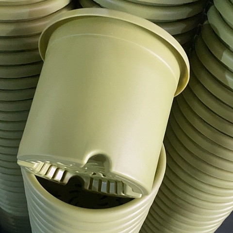 树脂四季3号果绿无托10个微瑕