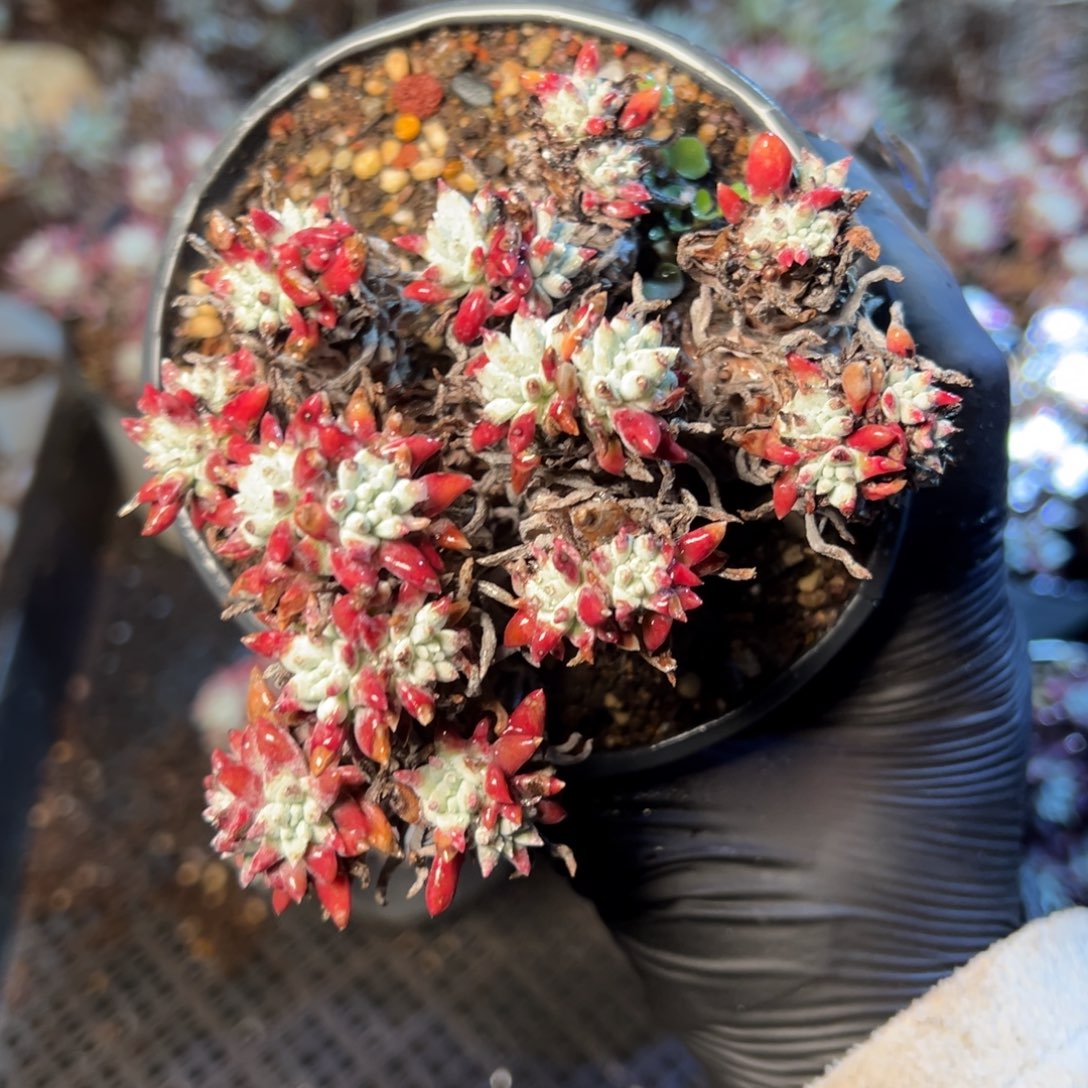 8424哈哈哈哈哈哈哈哈