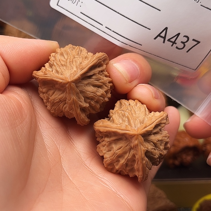 文玩核桃把件t x x y' y