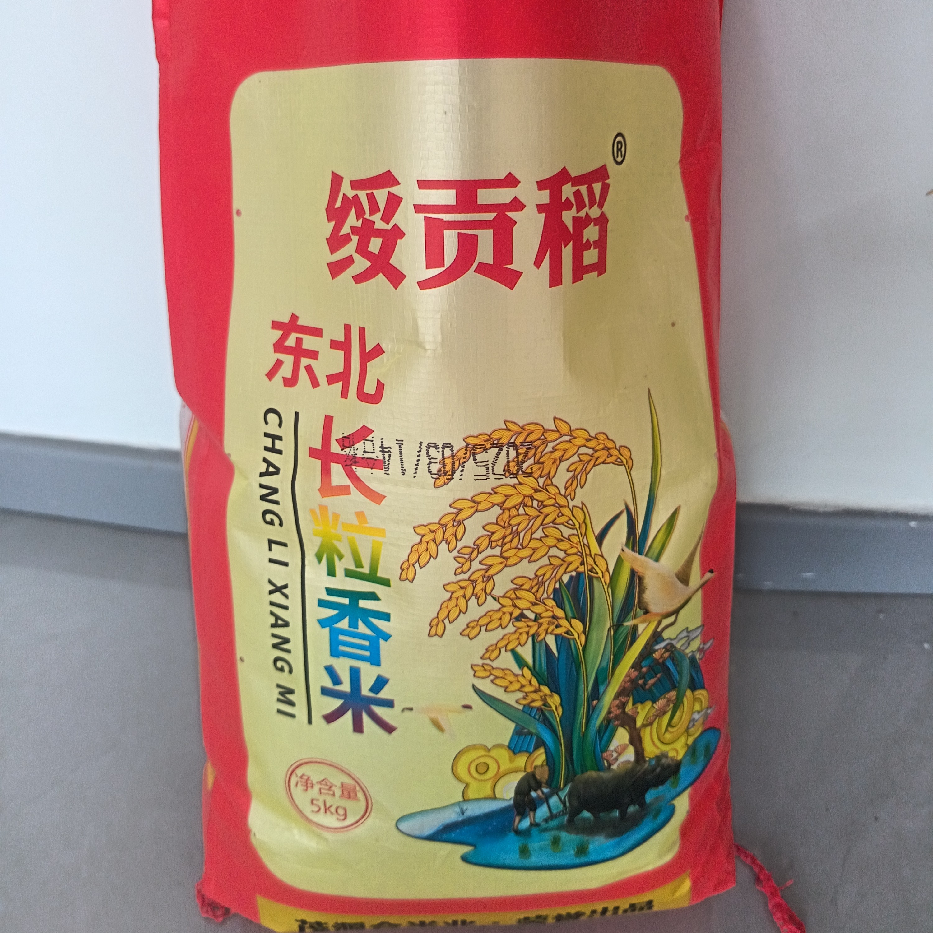 东北河水灌溉大米