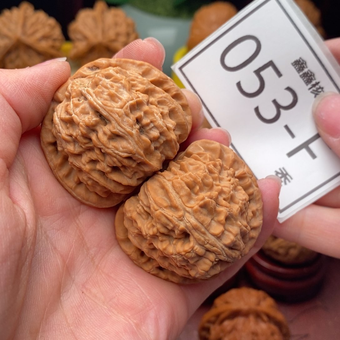 文玩核桃把件白狮子41