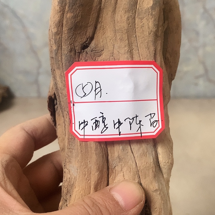 ⑤***月大叶紫檀（黑酸枝木类）