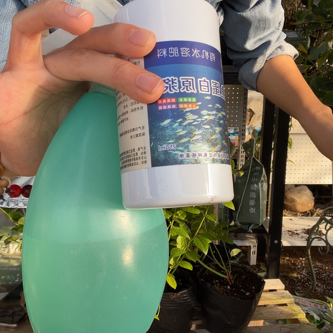 鱼蛋白送一个喷壶