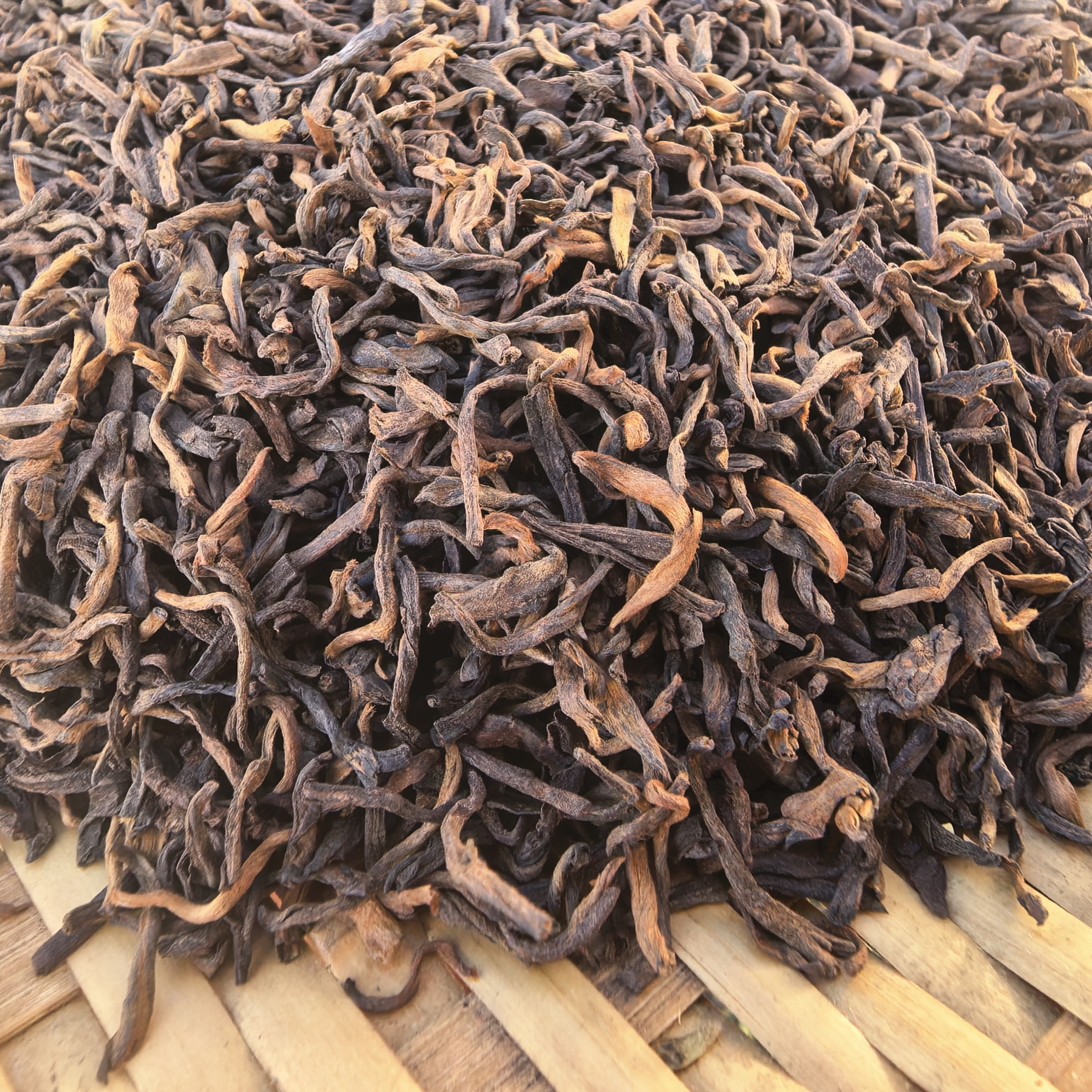 云南熟茶普洱熟茶2024年梅子箐宫延金芽熟茶