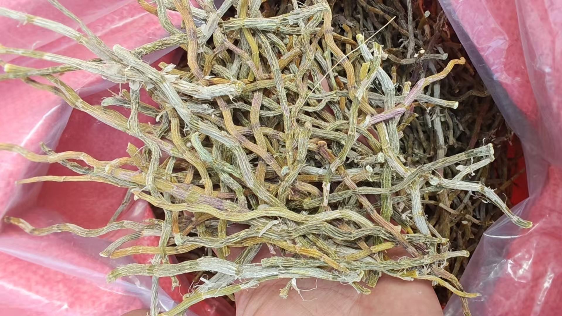 【小八精选】石壶条【茶】