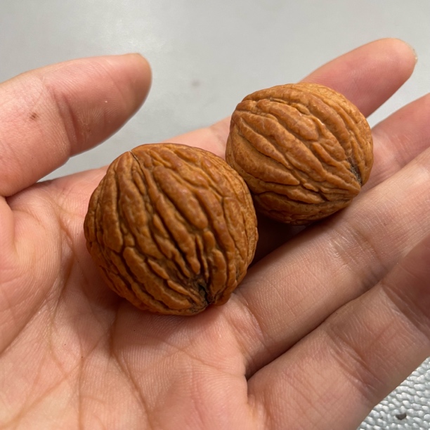 B317猴头核桃一对