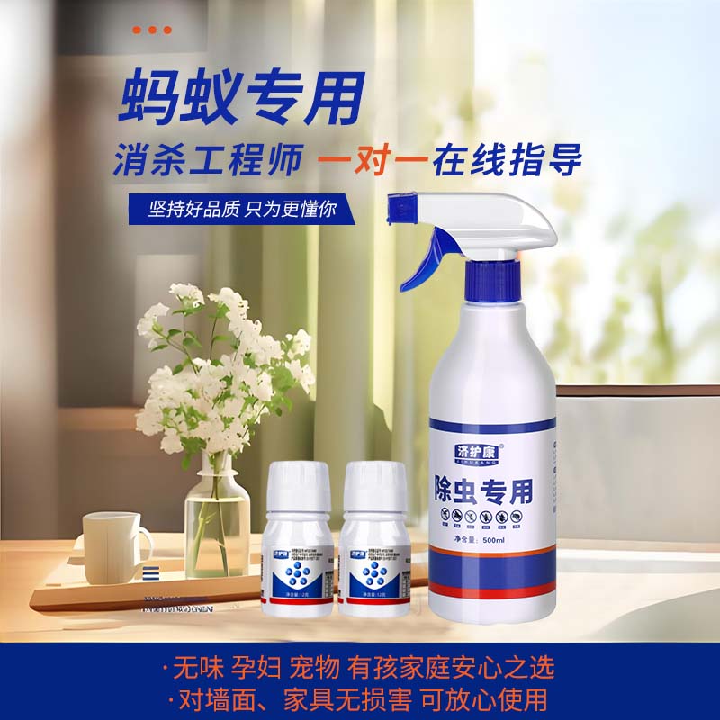 济护康强效蚂蚁灭杀剂蚂蚁药灭黄蚂蚁红蚂蚁红火蚁专用呋虫胺杀虫