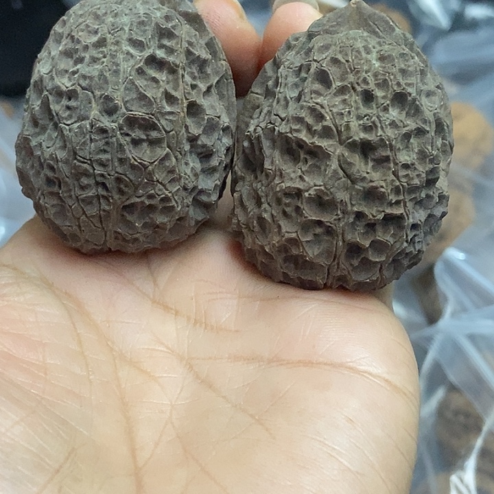 文玩核桃把件云南铁核桃基地95