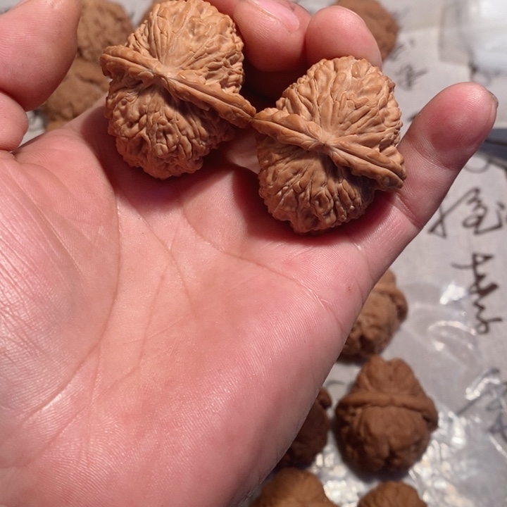 文玩核桃把件白狮子