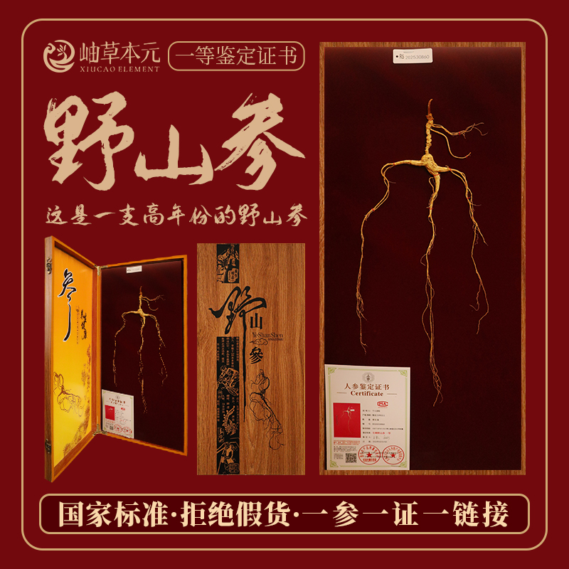 【国家标准】长白山一等野山参GB/T18765-2015吉林检测60板A11-A20