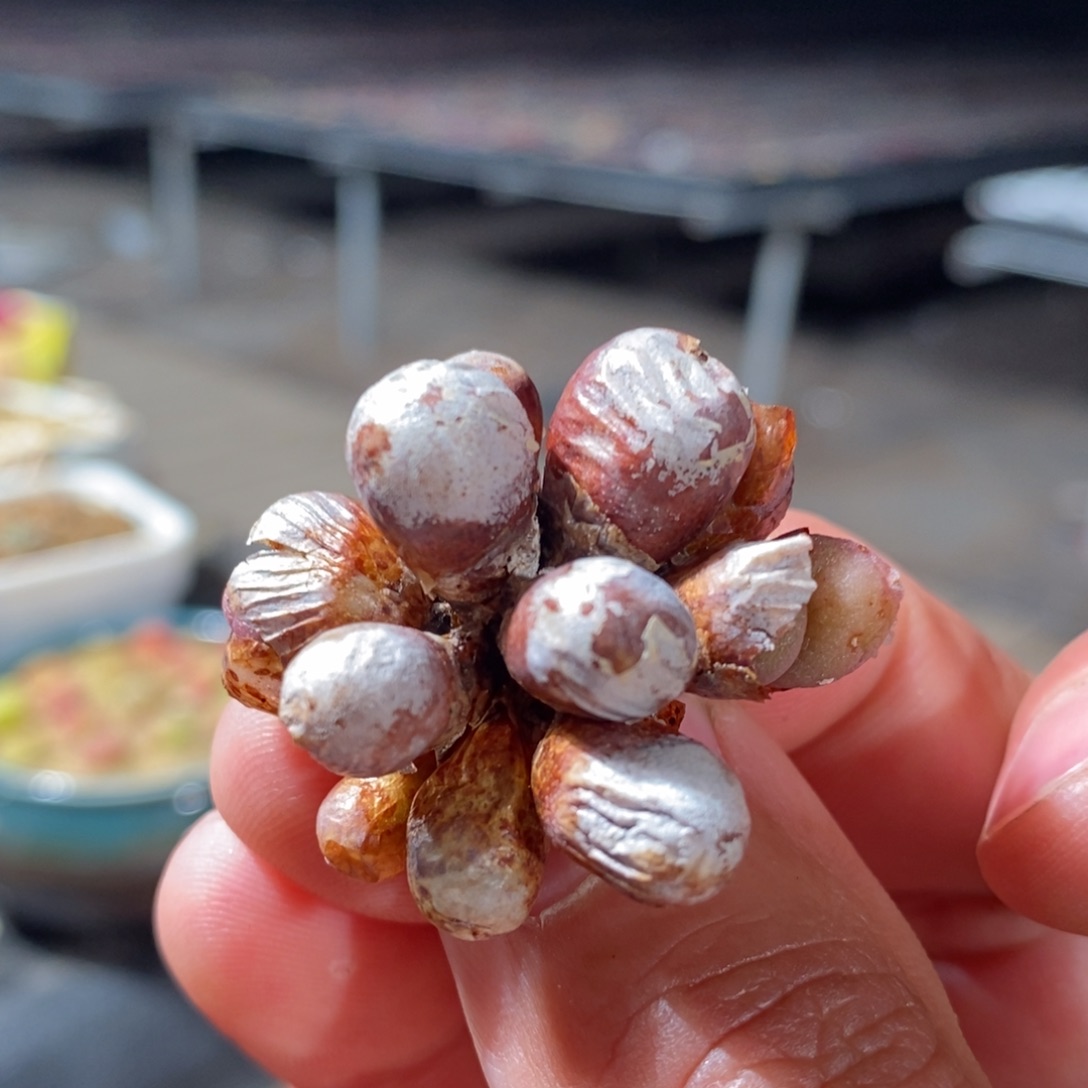 11137一个一个一个