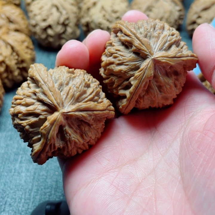 手工三棱白狮子三棱