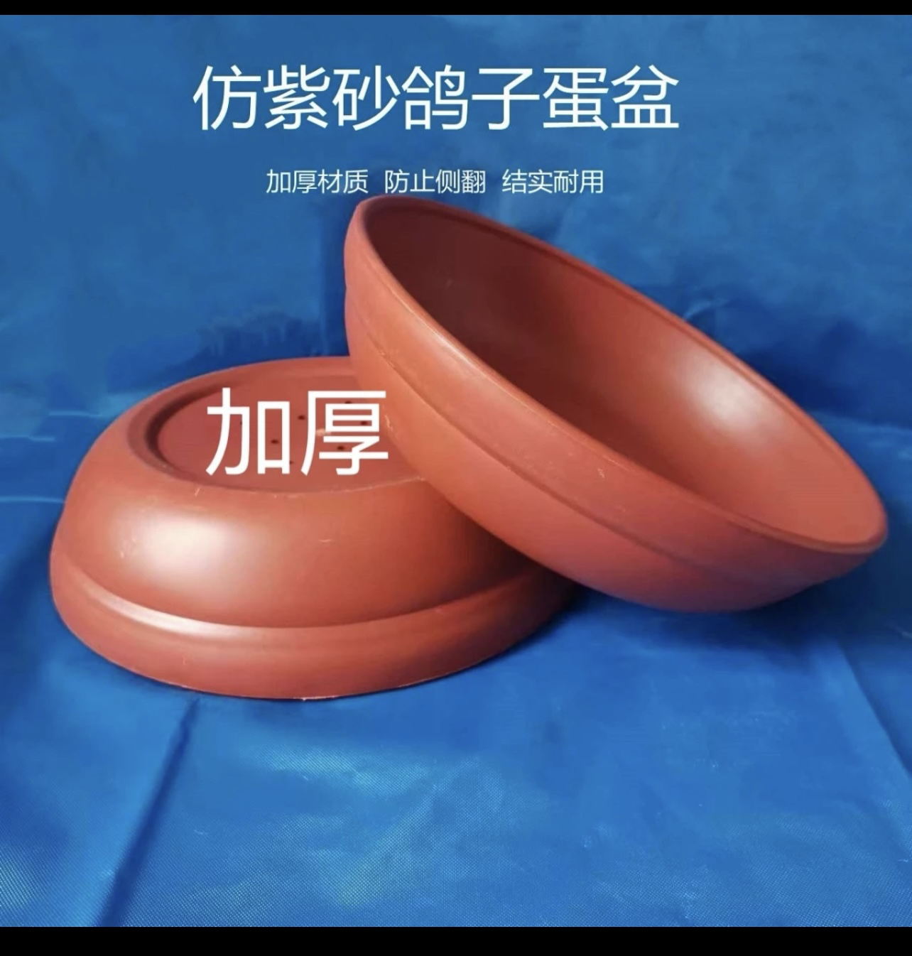 鸽子防紫砂塑料鸽子窝可以放棕垫鸽子孵蛋