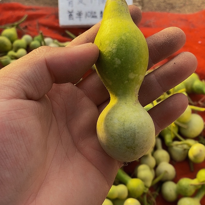 深**鱼长嘴哈哈哈哈哈哈哈哈哈好