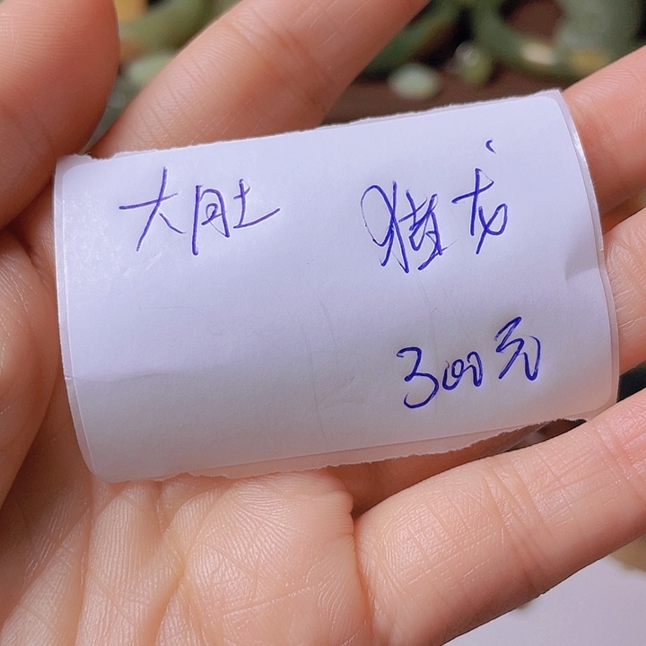未镶嵌岫岩河磨玉（透闪石质玉）挂件大*