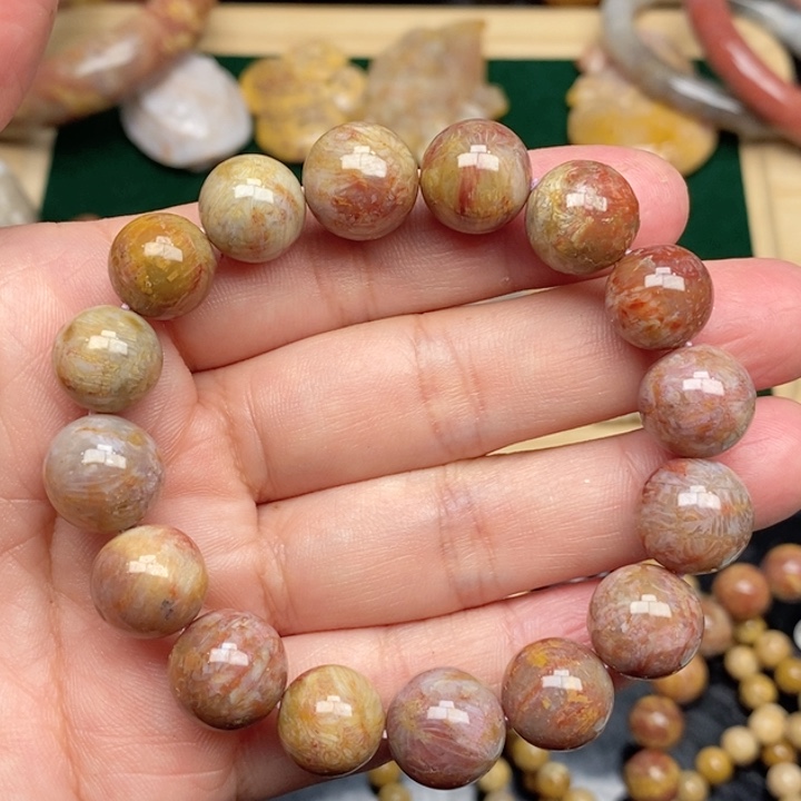 硅化珊瑚（珊瑚玉）手镯未镶嵌小*