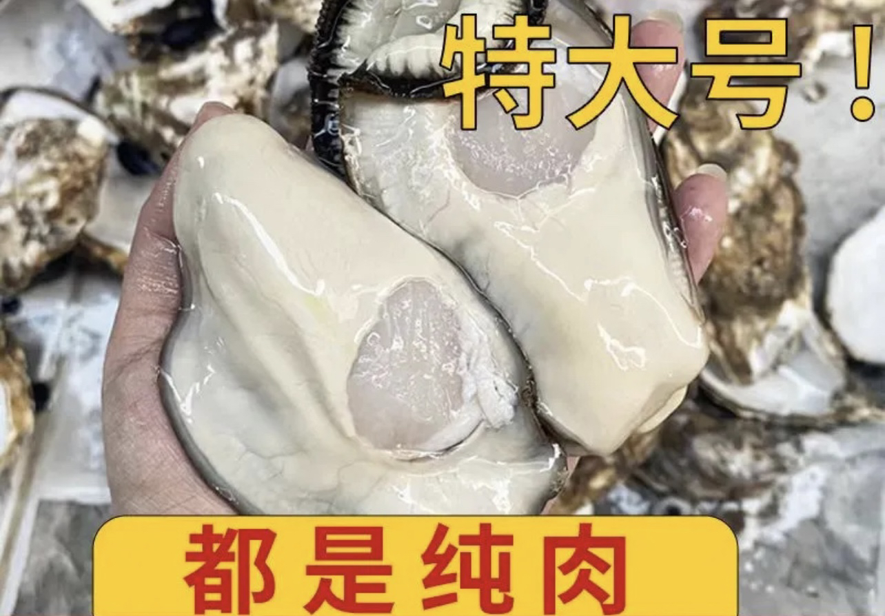 连云港发货现剥顶大大生蚝肉250克/盒到手10盒每盒5只左右