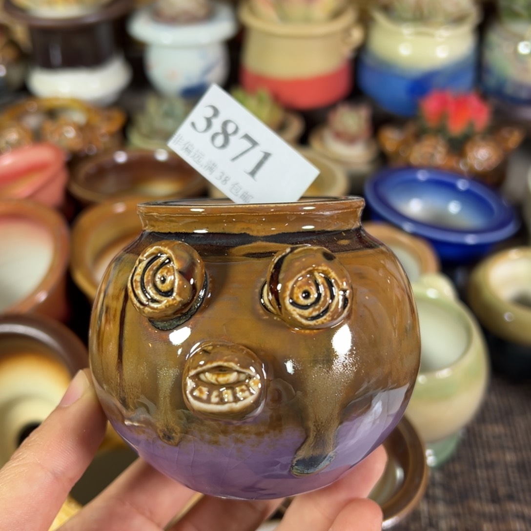 红陶景德镇陶瓷……