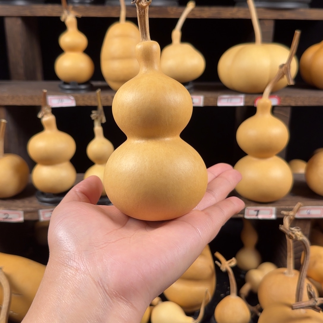 歆***夏葫芦葫芦葫芦葫芦葫芦葫芦葫芦