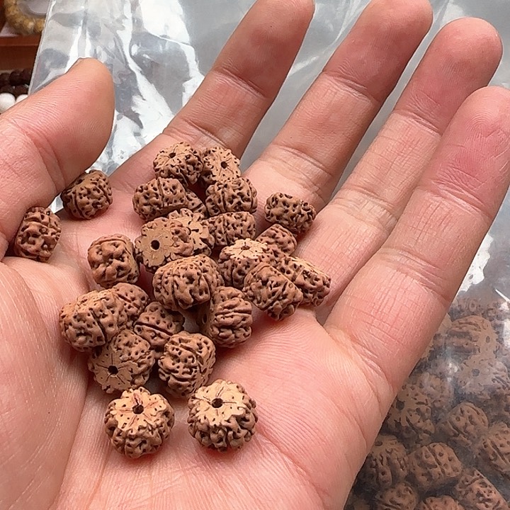 金刚菩提吊坠屠龙散籽（有瑕疵）