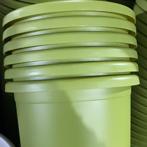 树脂四季4号果绿无托8个特价