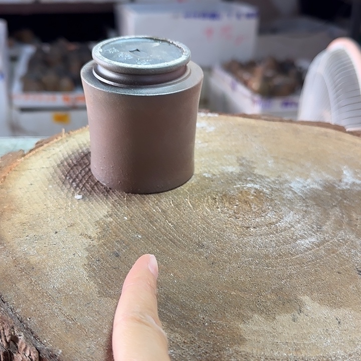 茶壶紫砂坭兴陶龙窑柴烧大寺