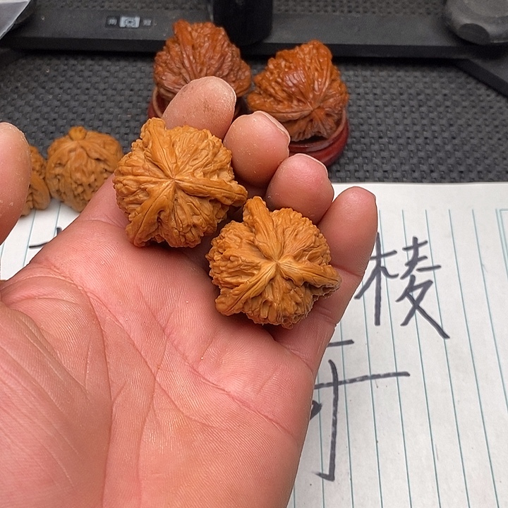 鼜***生核桃把件拼接白狮子5