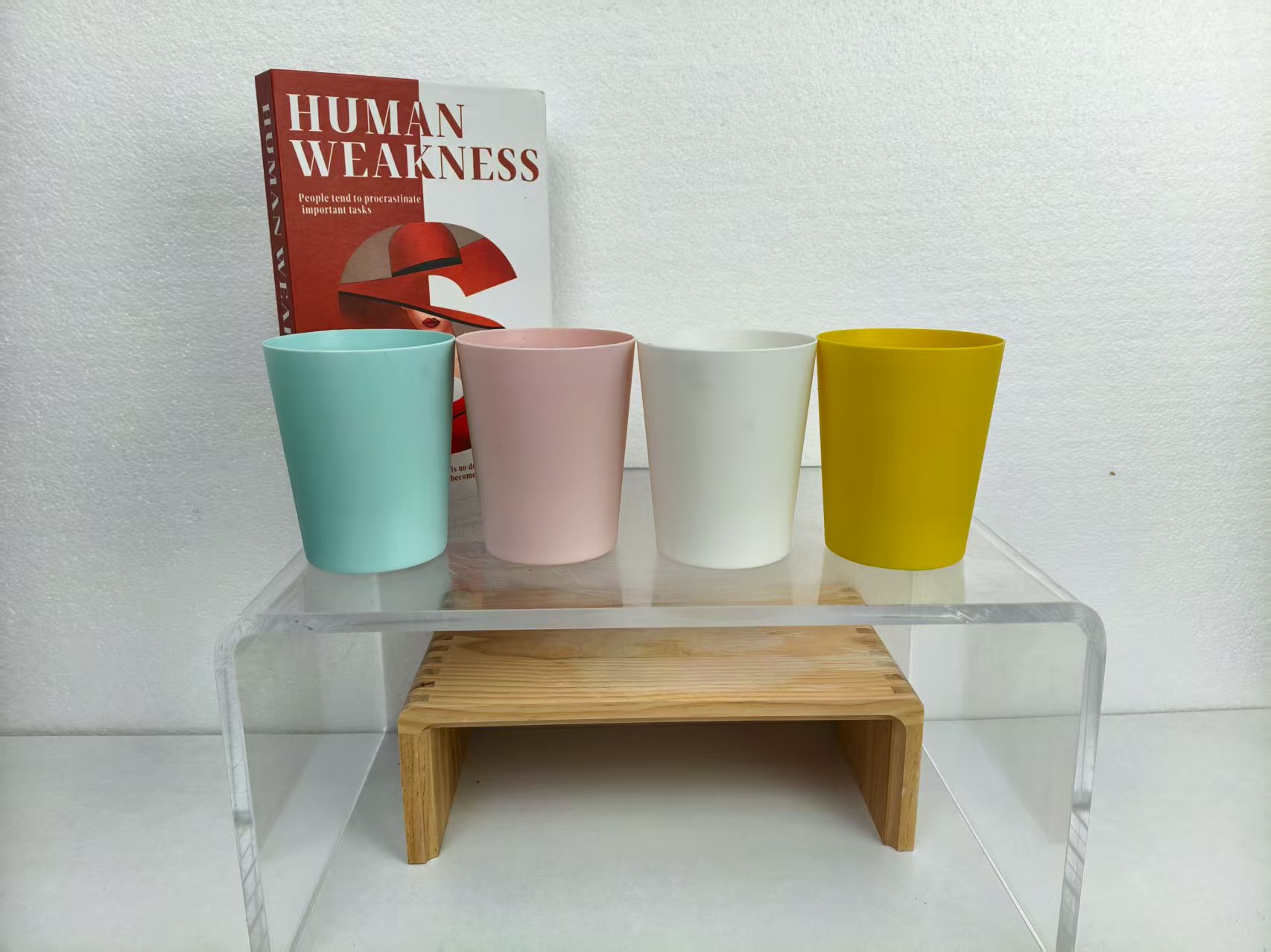 蝴蝶兰一颗专用盆