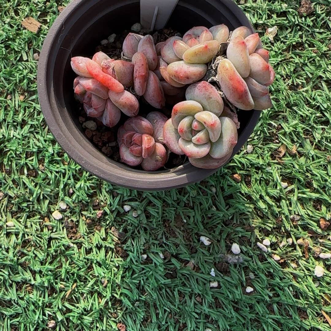 ￴***￴072 一物一拍特价福利
