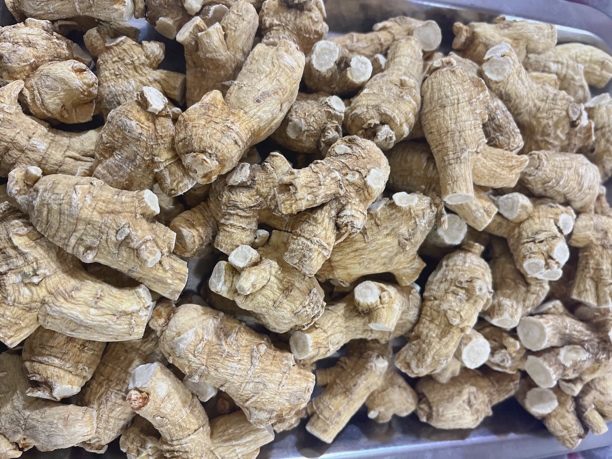加拿大西洋参 花旗参 五年老参15克短枝精选 100克起