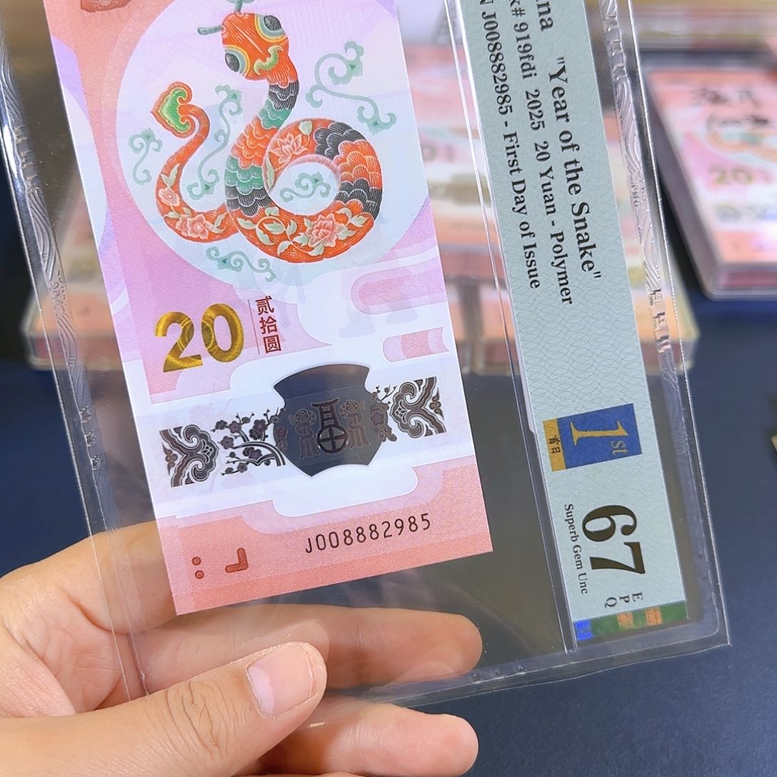 塑料蛇钞008882985单张