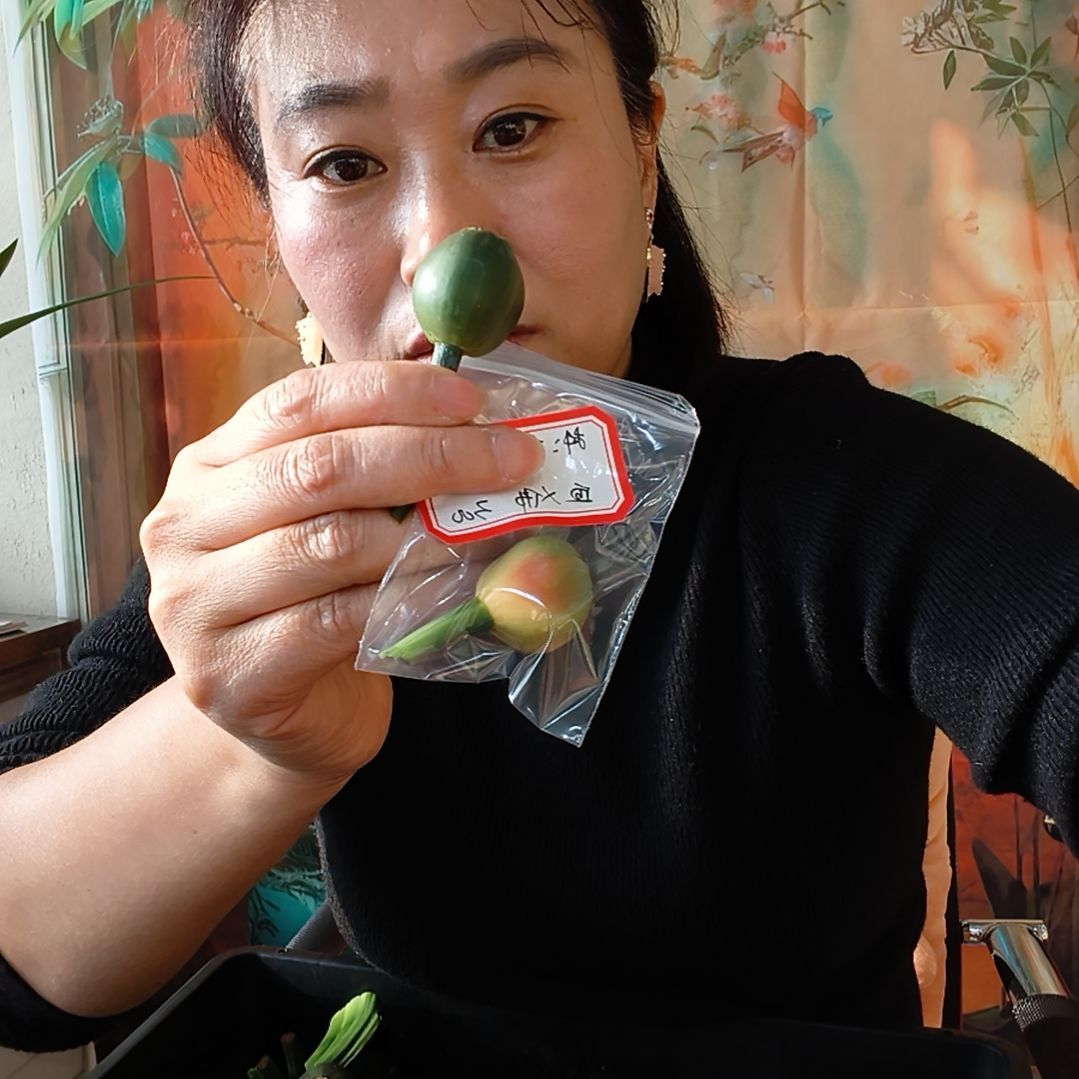 刘***胜完全开放11111111