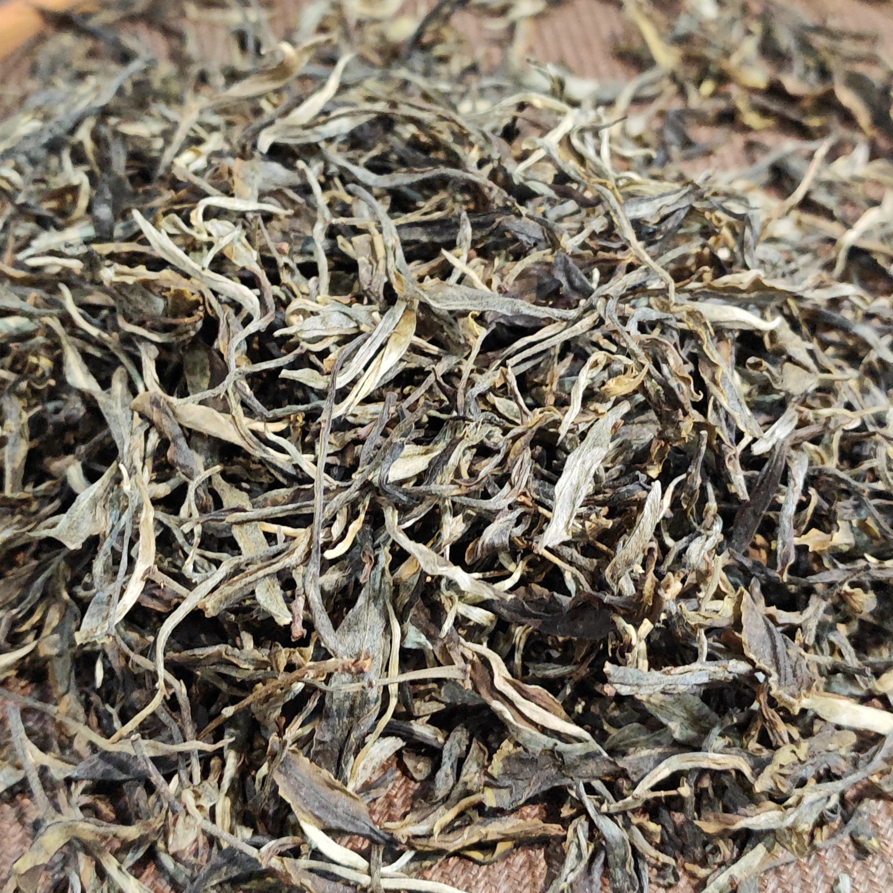 2025冰岛地界 古树 100克   同价位没有对手