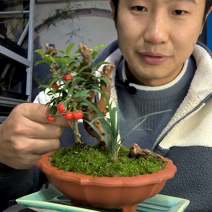 思***邪中青园艺一物一拍花192