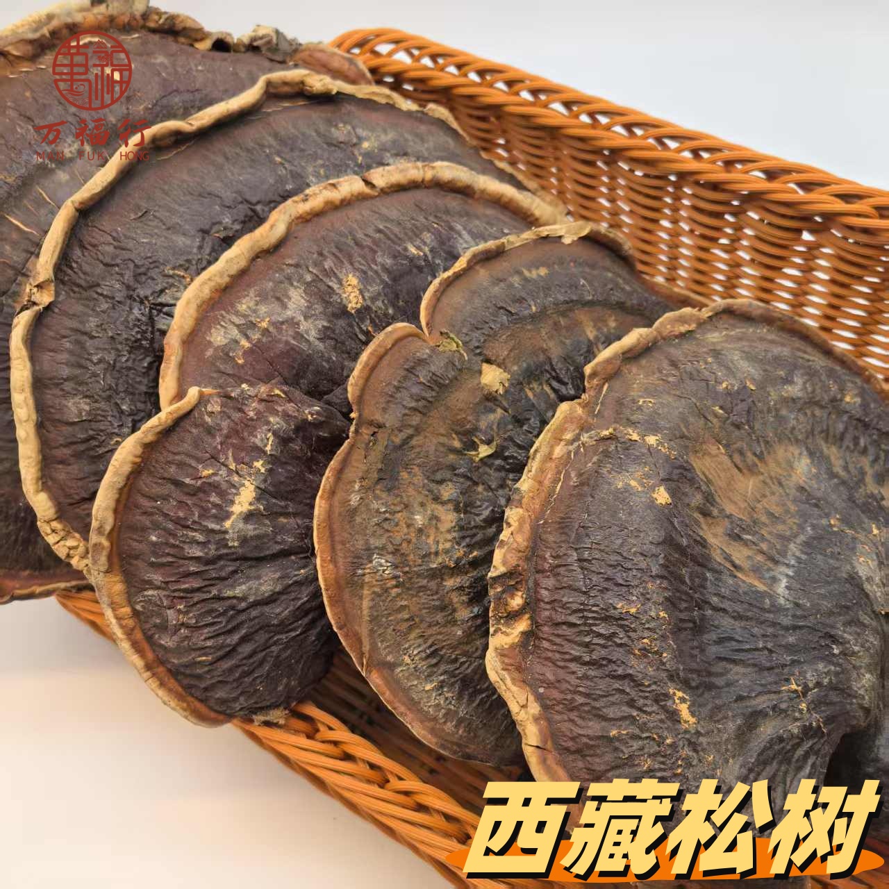 W【莹莹精选】大只松树 品质优选 农产品食用 煲汤料 