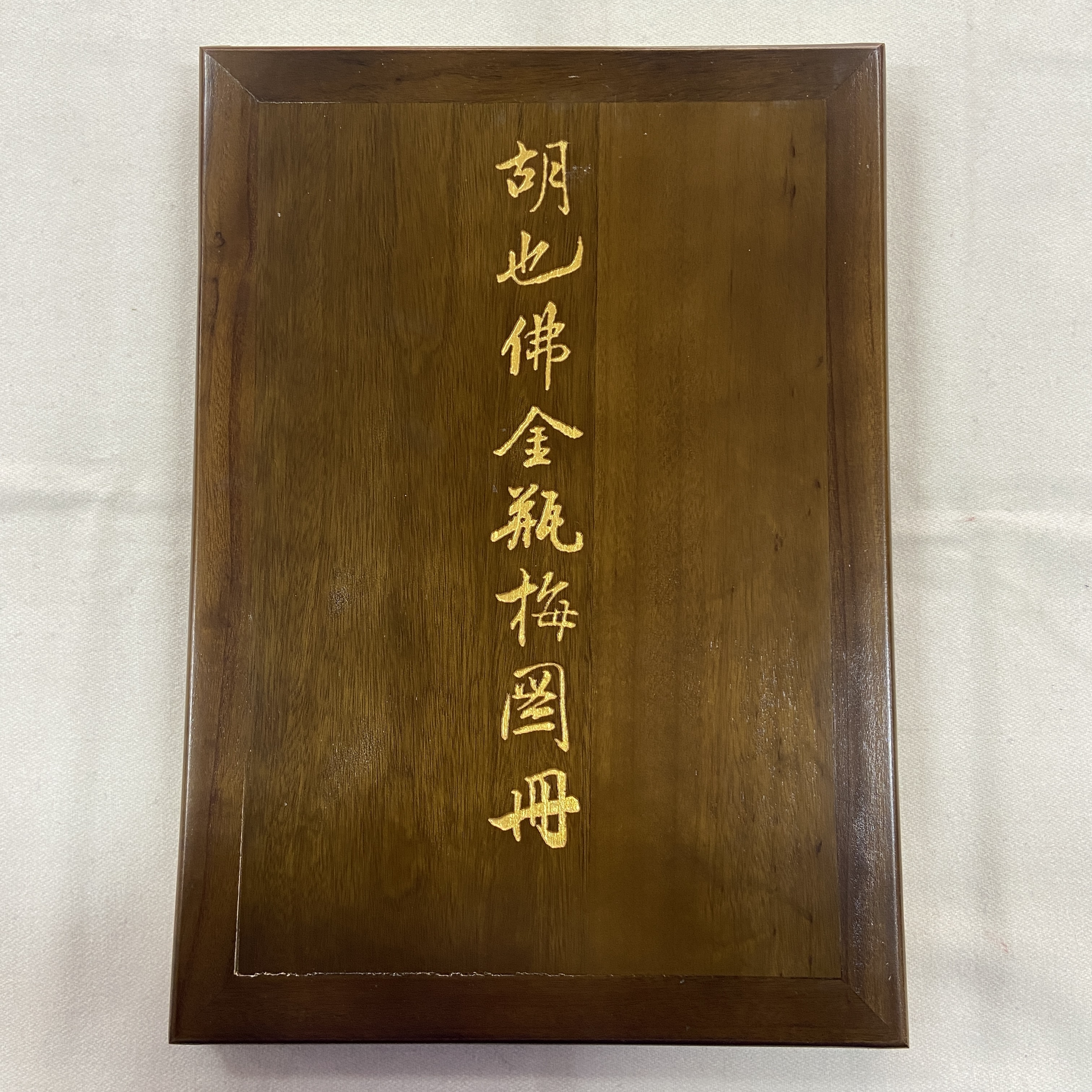 胡也佛绘《梅梅图册》