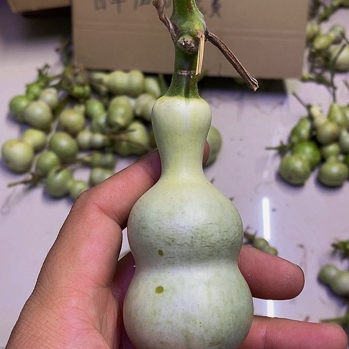 嗨***。哈哈哈哈哈哈哈哈哈哈