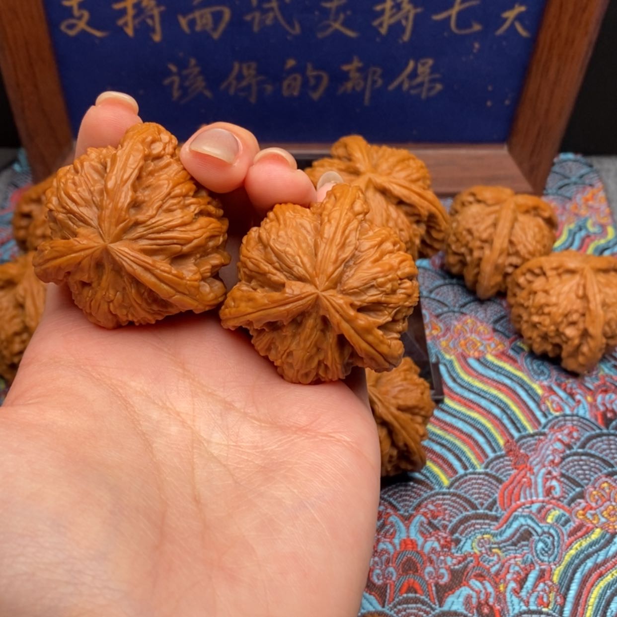 【闪购商品】金*白狮