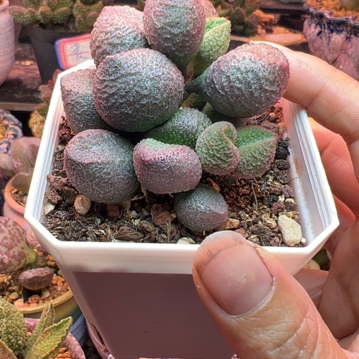 一物一拍，感谢支持