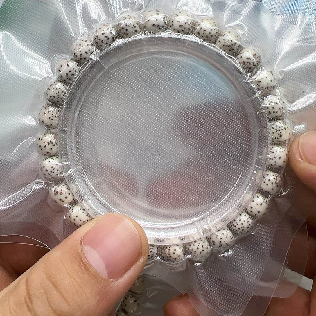 星月菩提手串24傲世原脂白河豚星月菩提单圈87