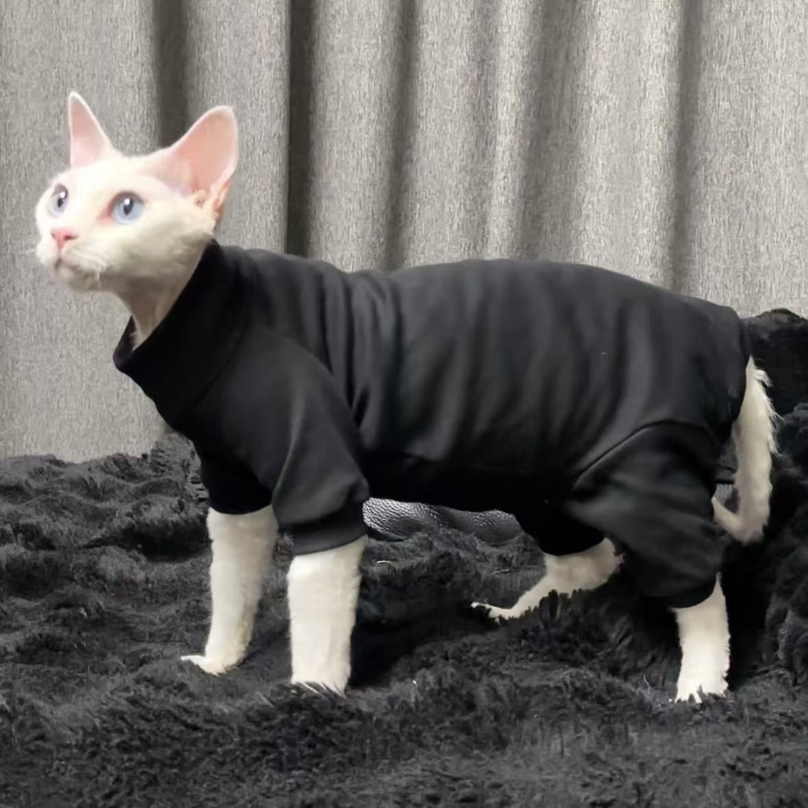 25年新款无毛猫衣服德文卷毛猫宠物小猫高弹秋冬季包肚家居四脚衣